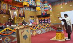Dzongkhag Tshogdu 2018